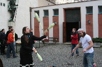 � Martin Geiger, Workshops