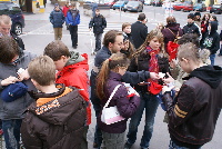 � Peter Feigl, Workshops