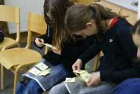 � Peter Feigl, Workshops