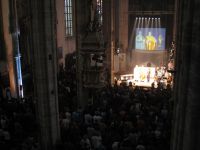 � Gerhard Metz, M�dling